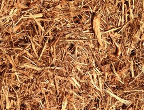 Cedar Mulch