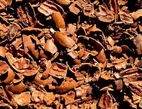 Pecan Mulch